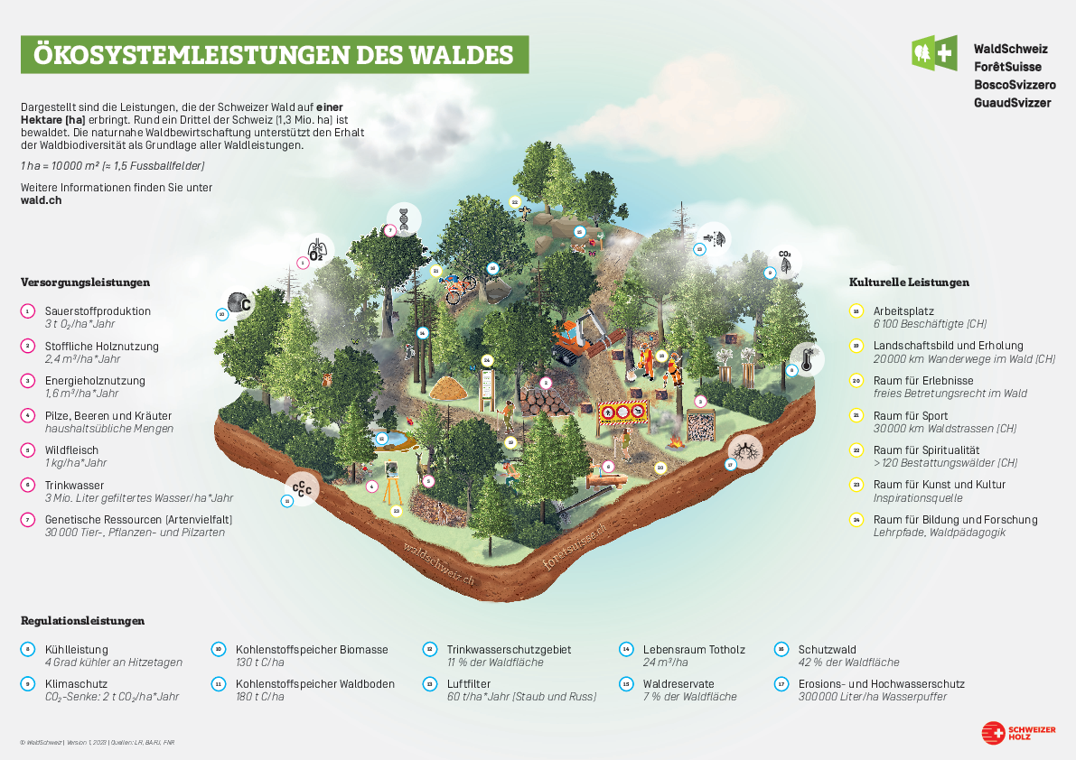 230222-grafik-waldleistungen-a3-d.pdf