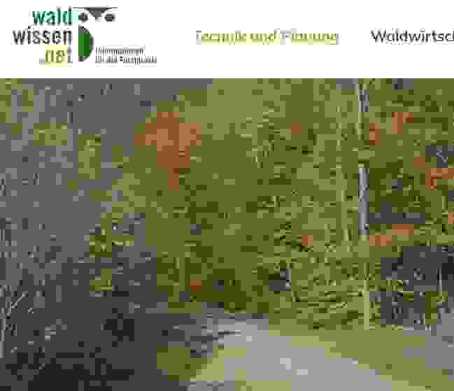 Waldwissen