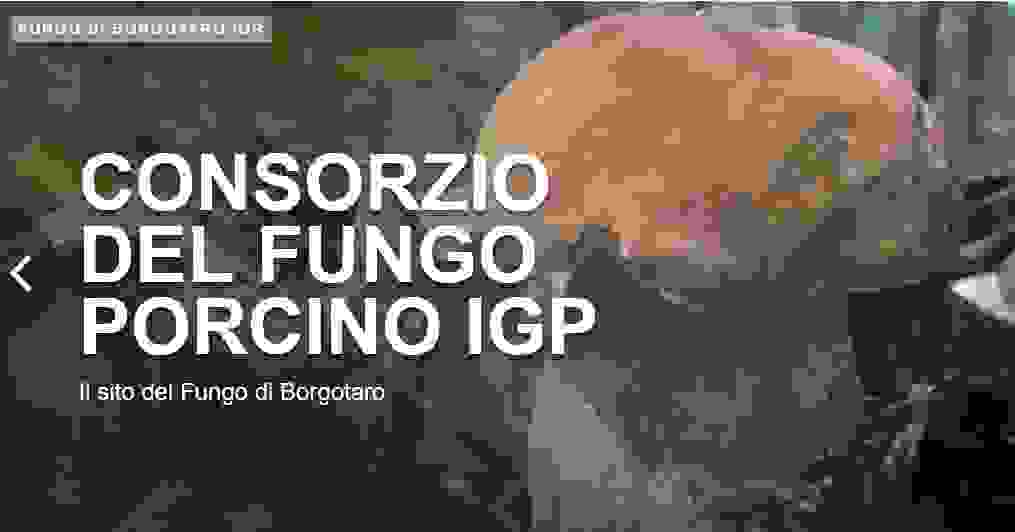 Fungo di Borgotaro