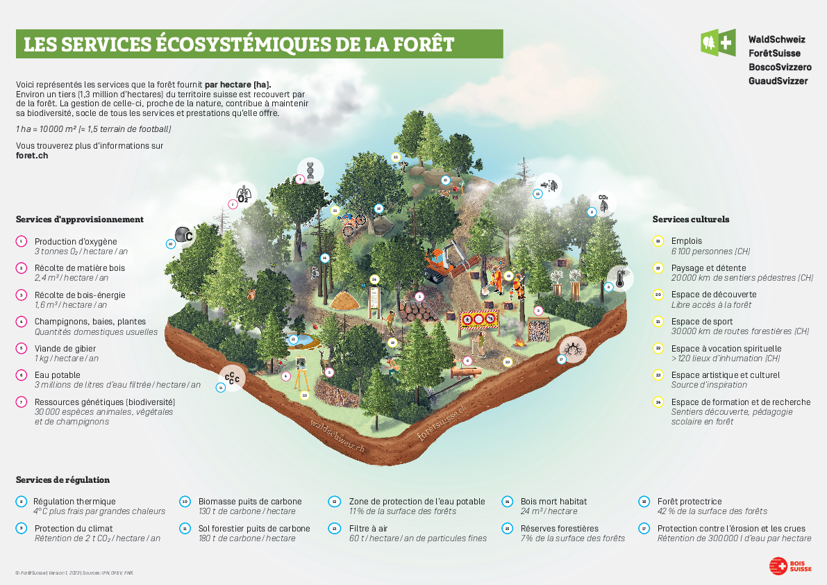 foretsuisse_services_eco_de_la_foret_carte_resume.pdf