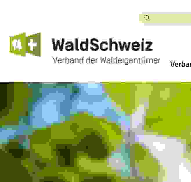 Screenshot 2025-04-02 082547
