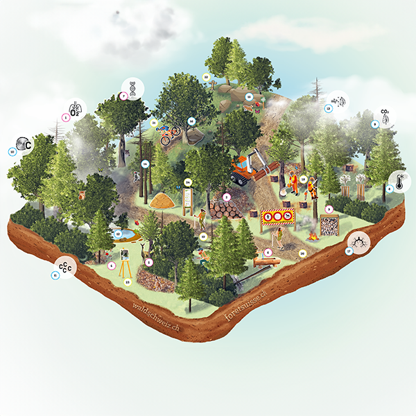 230222-grafik-waldleistungen-2