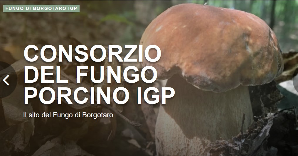Fungo di Borgotaro.jpg Fungo di Borgotaro