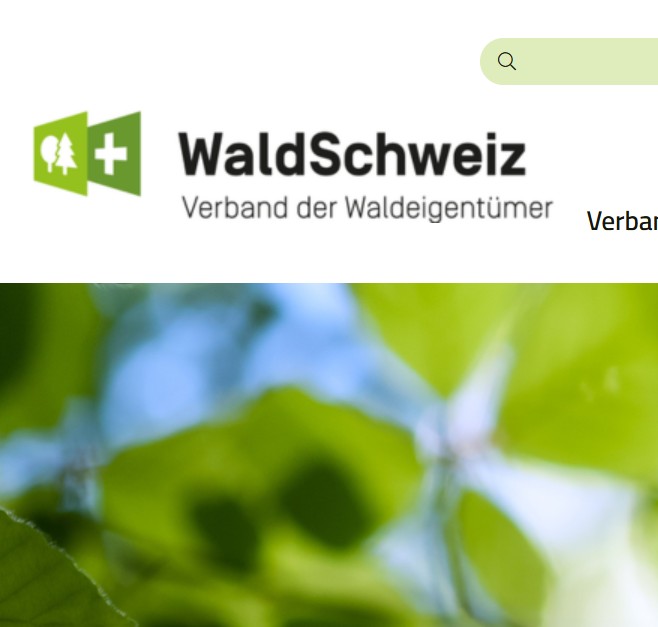 Screenshot 2025-04-02 082547.jpg Screenshot 2025-04-02 082547